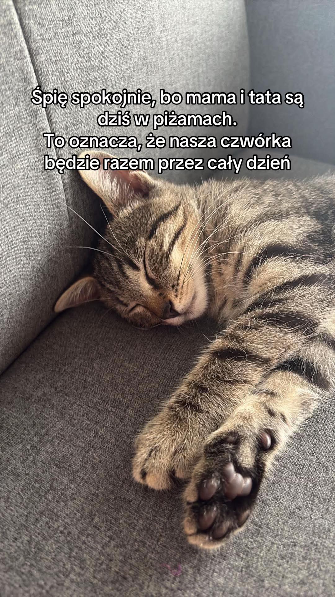 @pan_pyzek