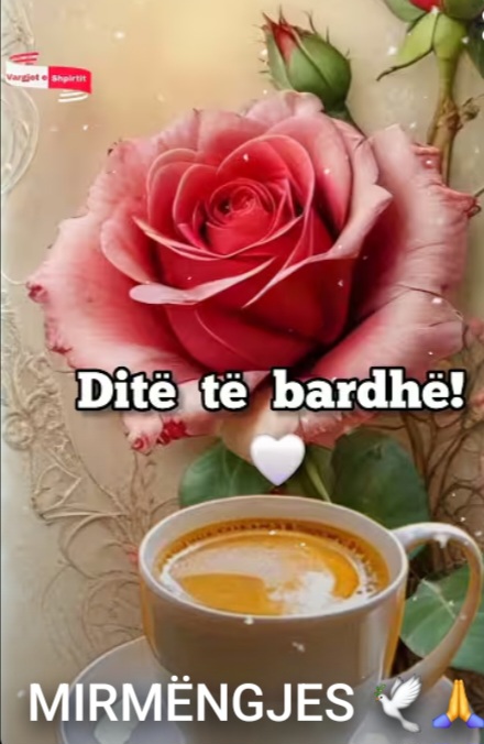 @Rreze @ Dielli โ๏ธ๐๐ฝ๐ฐ๐ฆ๐ฑ