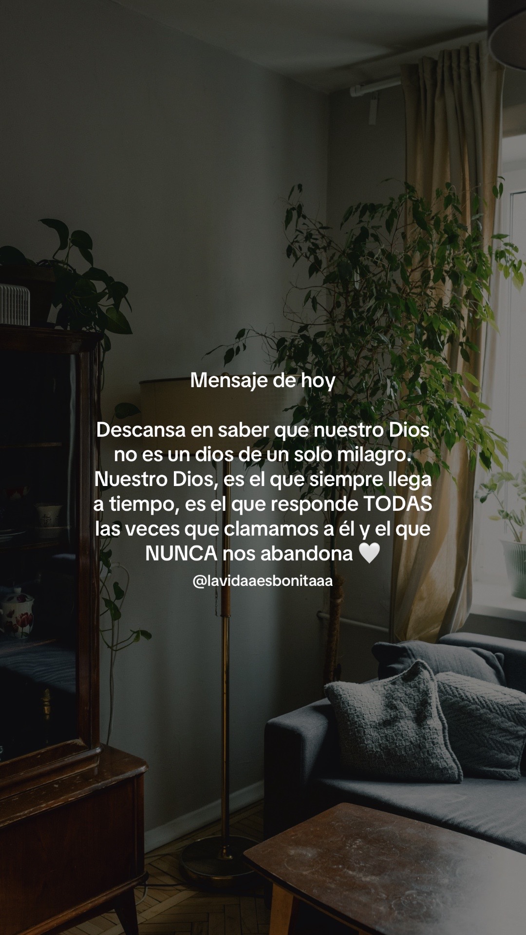 @vidabonita❤️&zwj;🩹