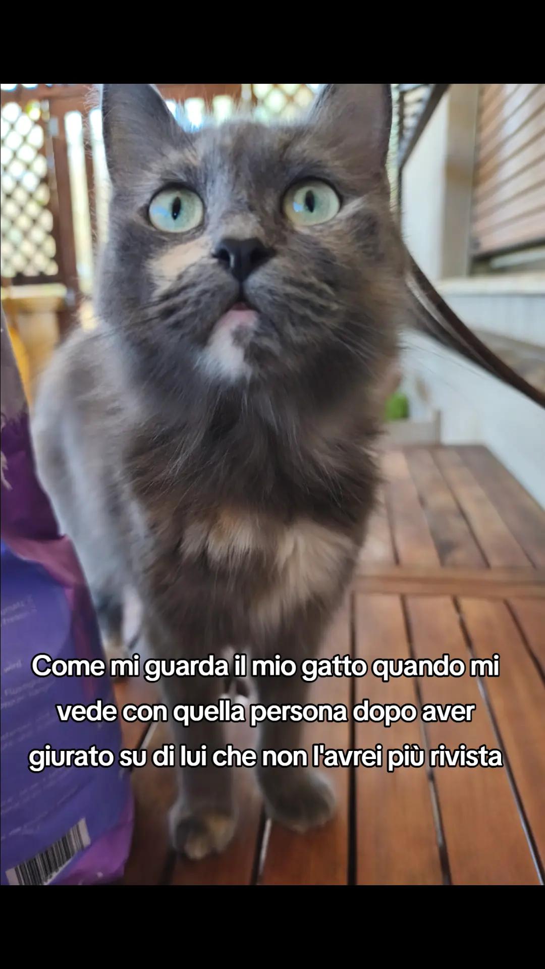 @Nina