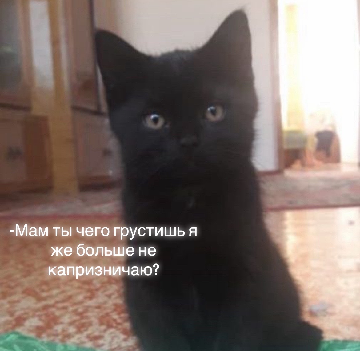 @𝒮𝓊𝓏𝒶𝓃𝓃𝒶🪽