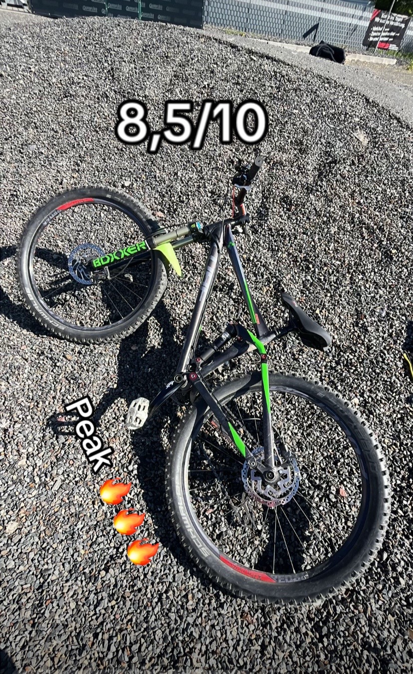 @🌲Eugen _freeride🌲