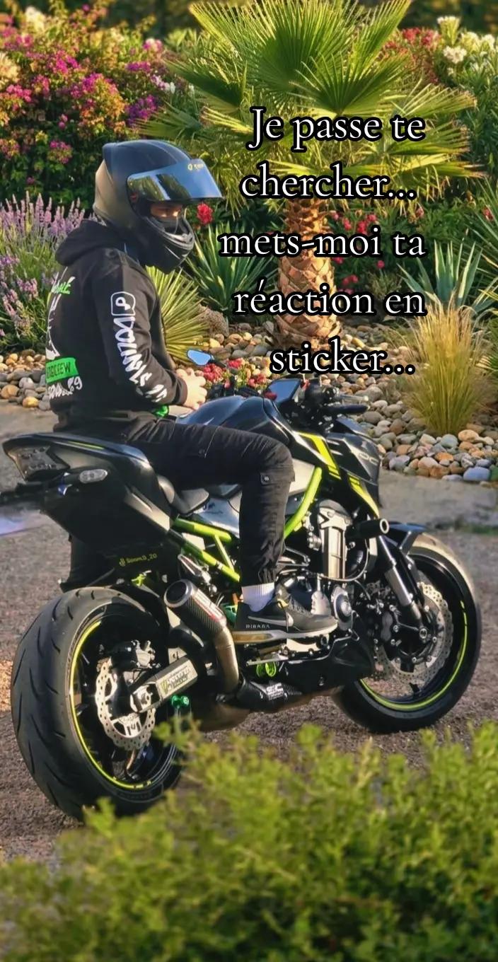 @𝑫𝒐𝒖𝒏𝒊𝑺_𝒁9