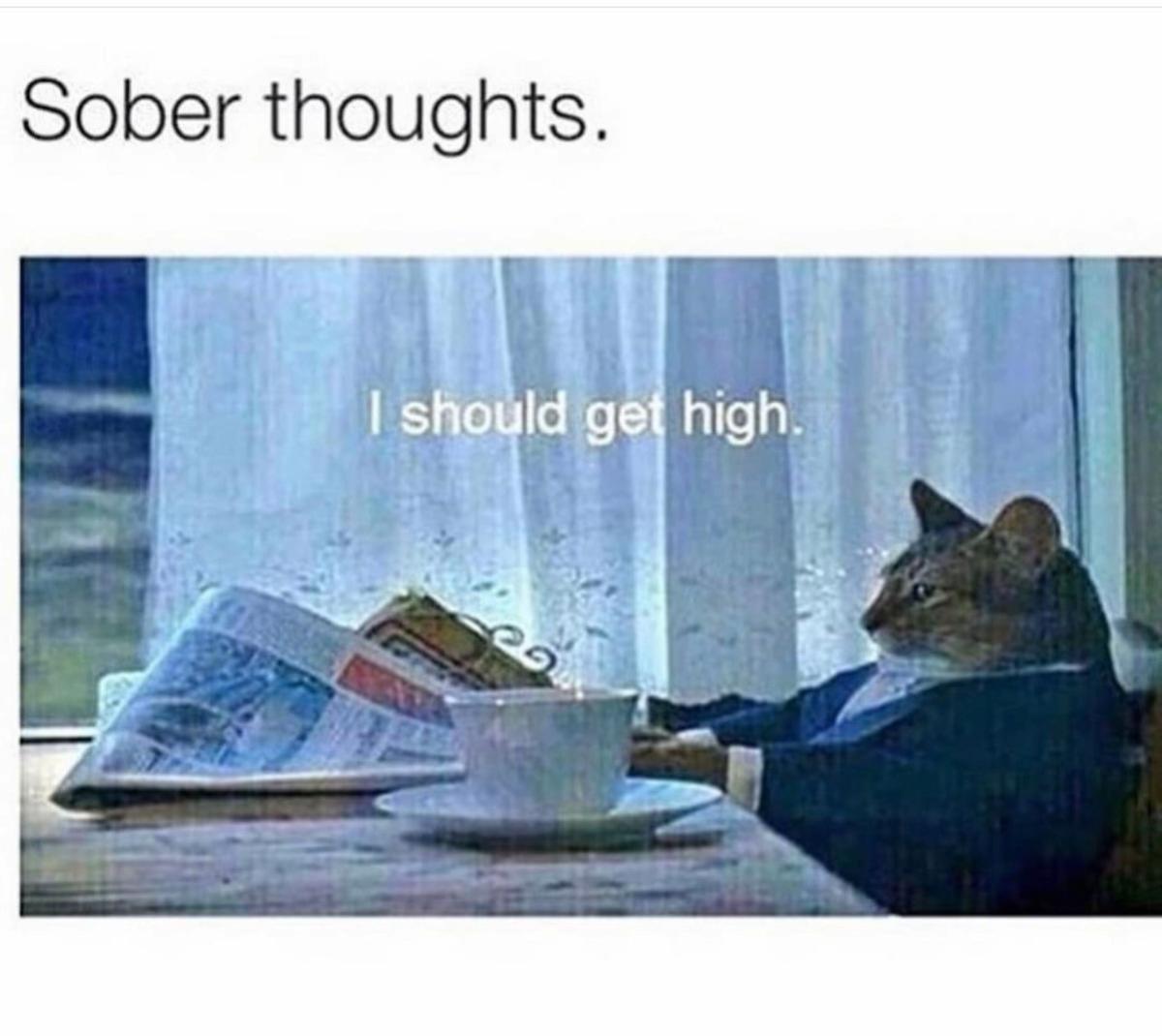 @PuffPuffPrincesses🩷👸🏽