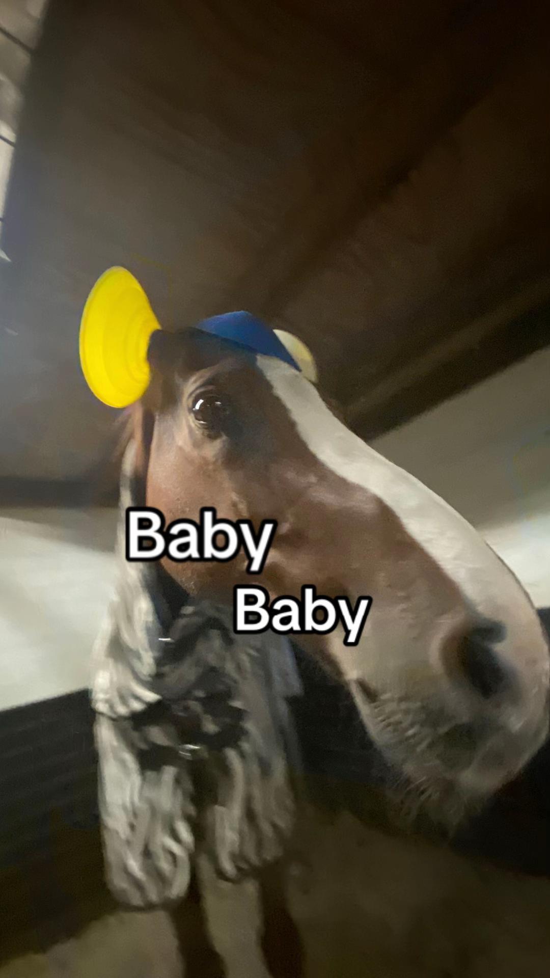 @🇳🇱Madelief🇳🇱