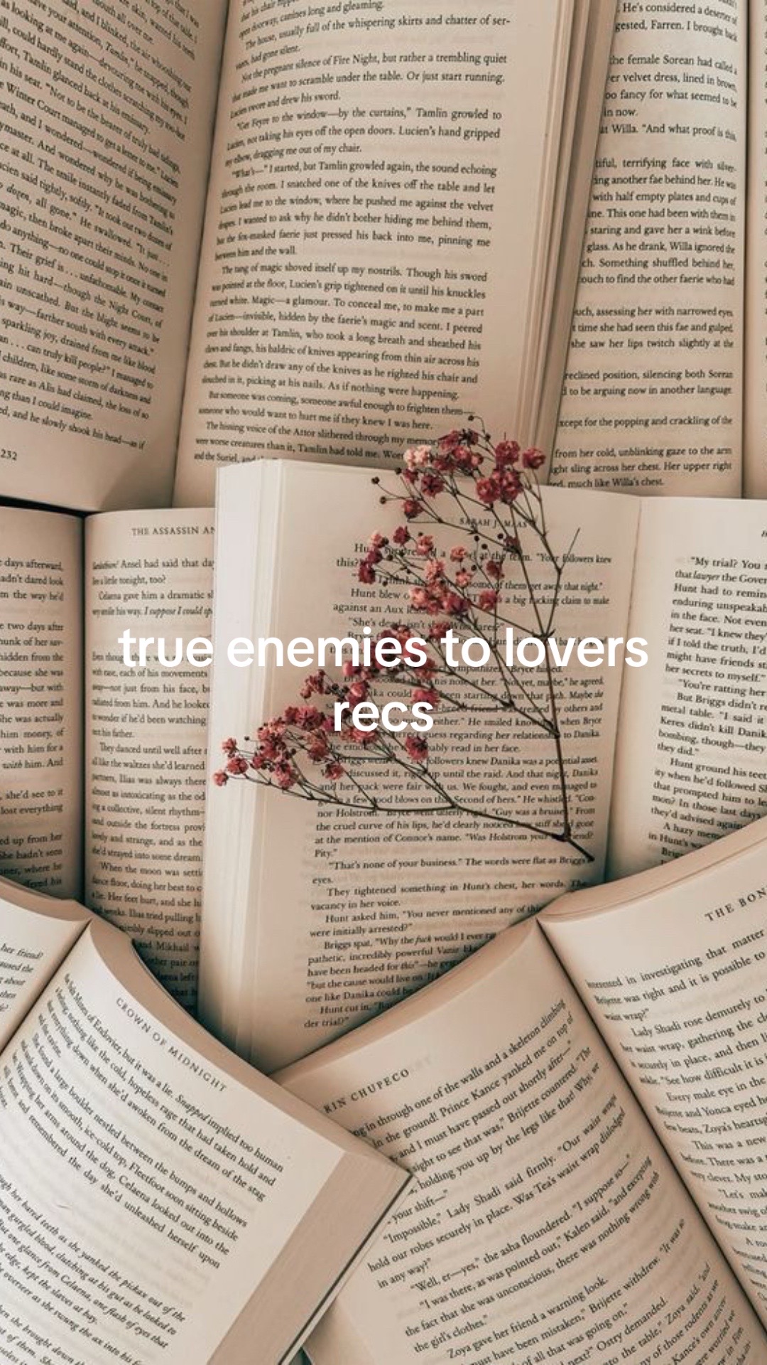 @cat 📚
