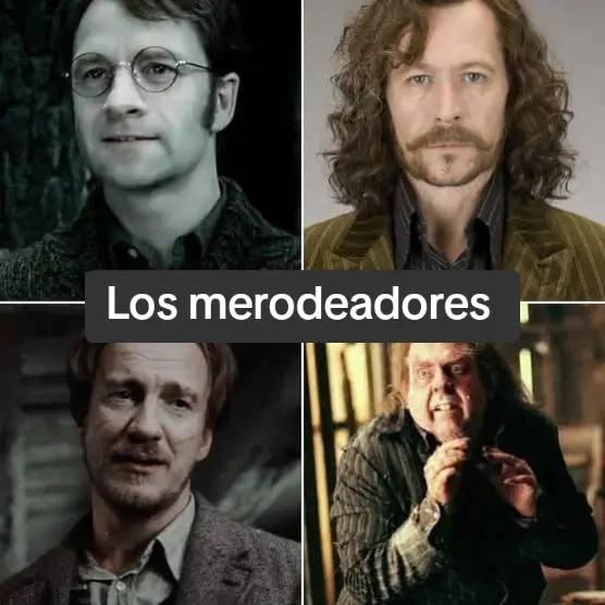 @Tomás Dumbledore