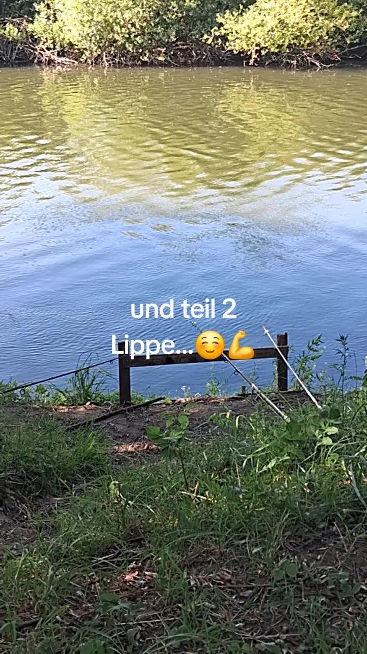 @Angelgerne