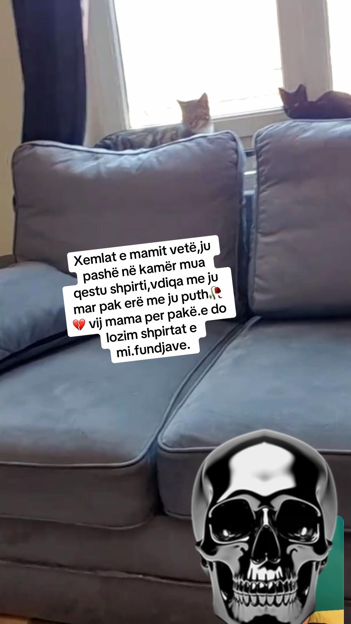 @Vdes per këto te dyja😻😻