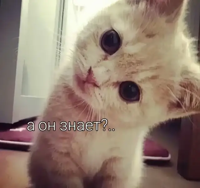 @kamii_wwx