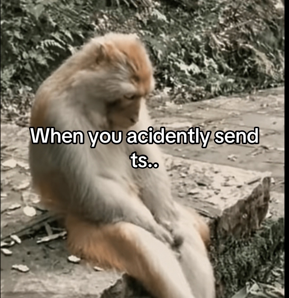 @Zekedeals