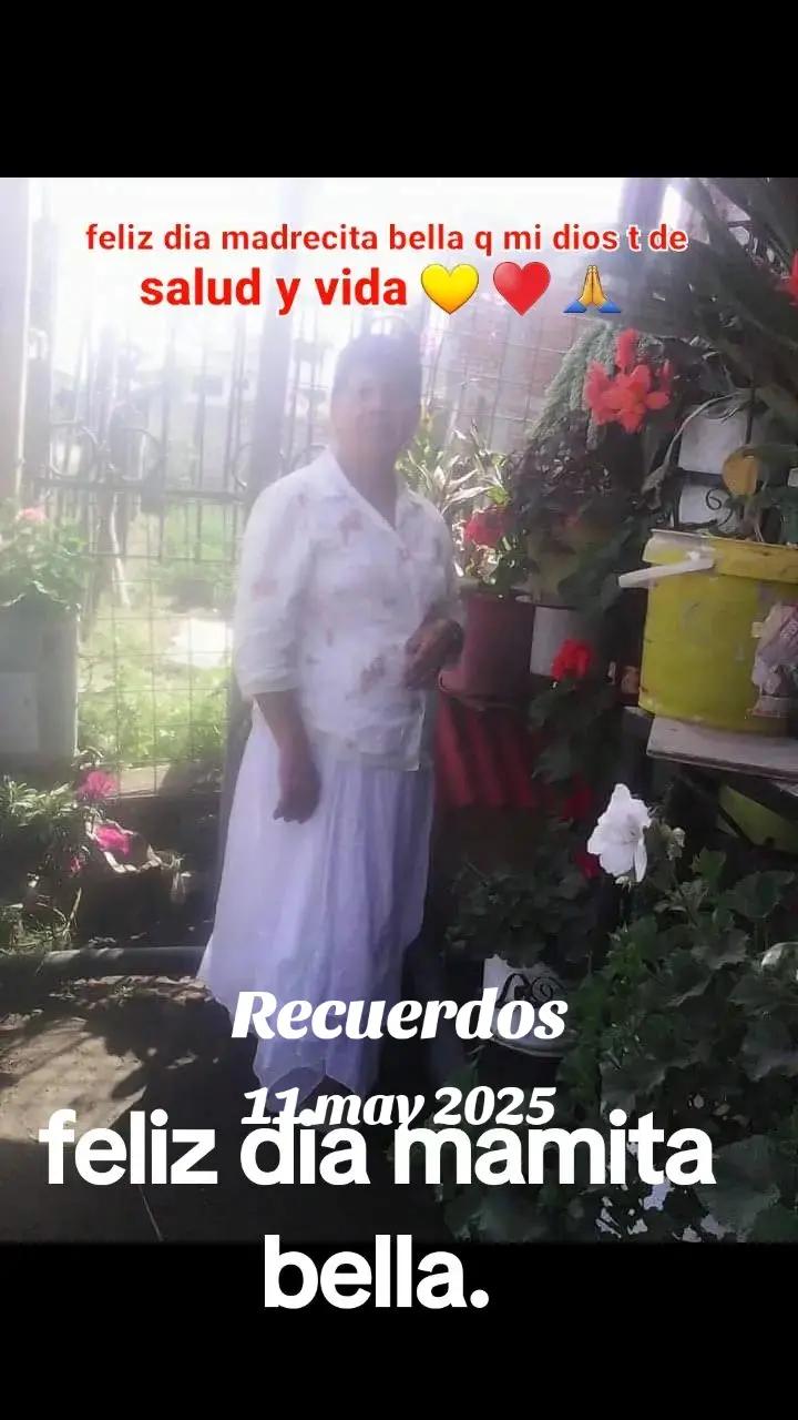 @Junior Saravia419