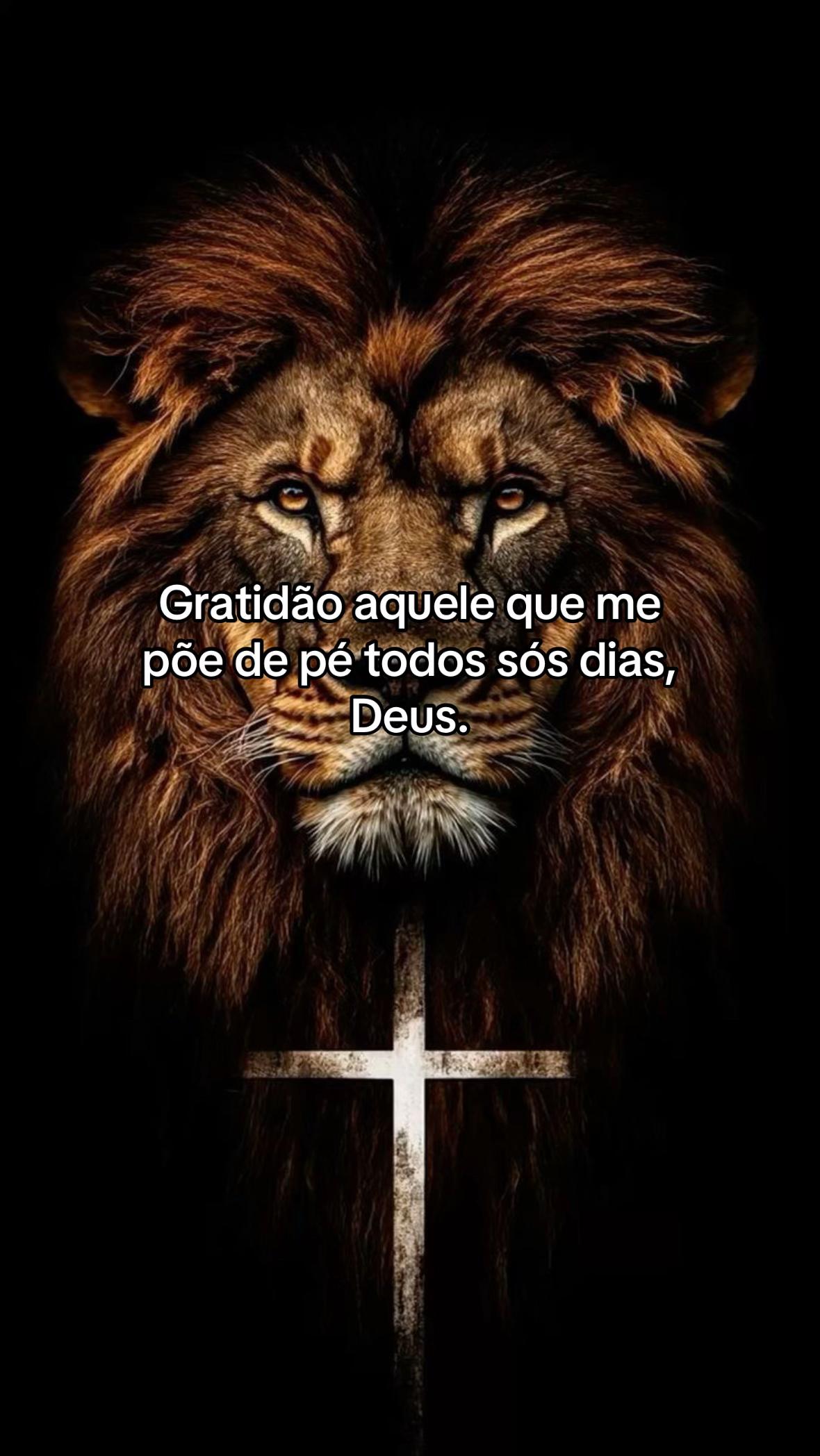 @Miguel Batista