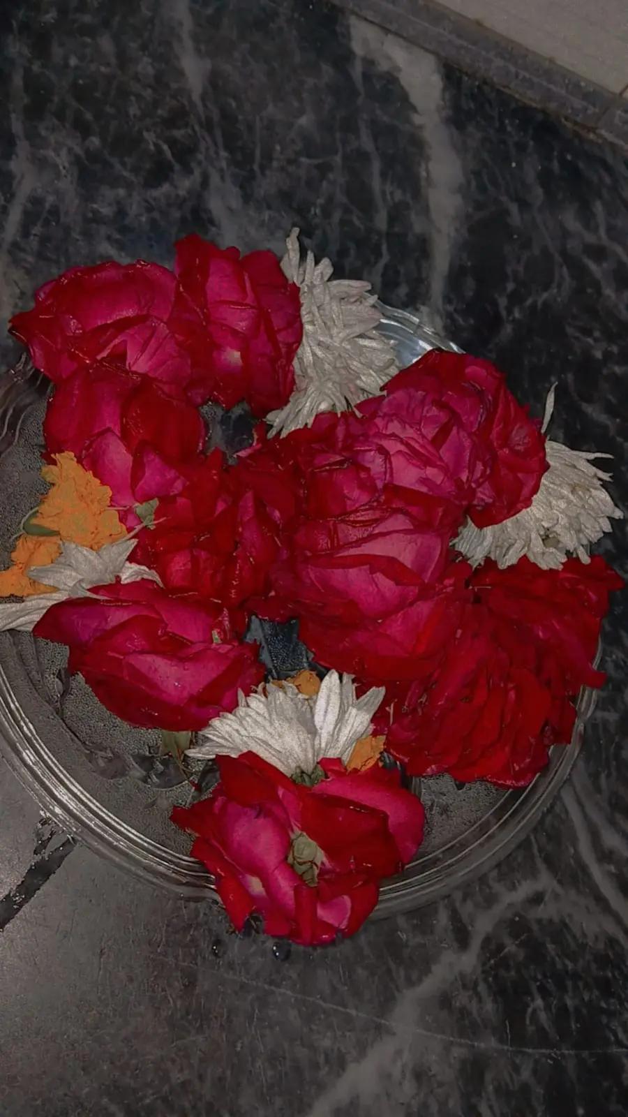 @aiman khan