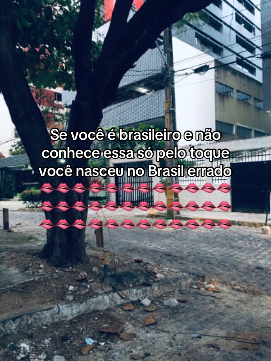 @gostou república!😉