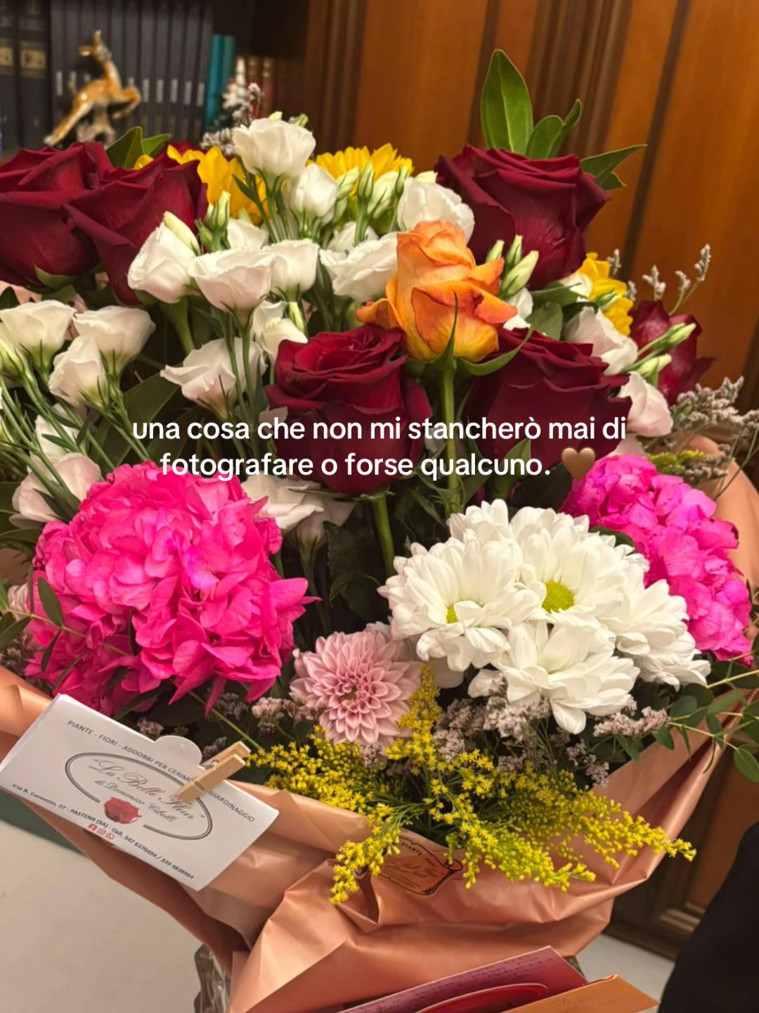 @ale foglia