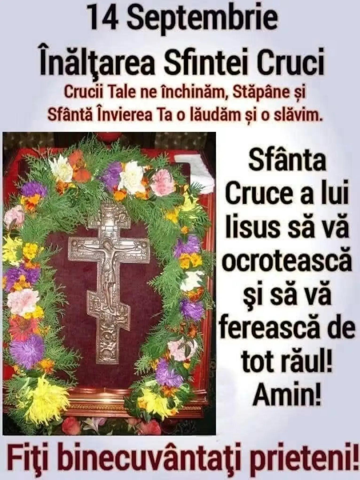 @ionela Patru