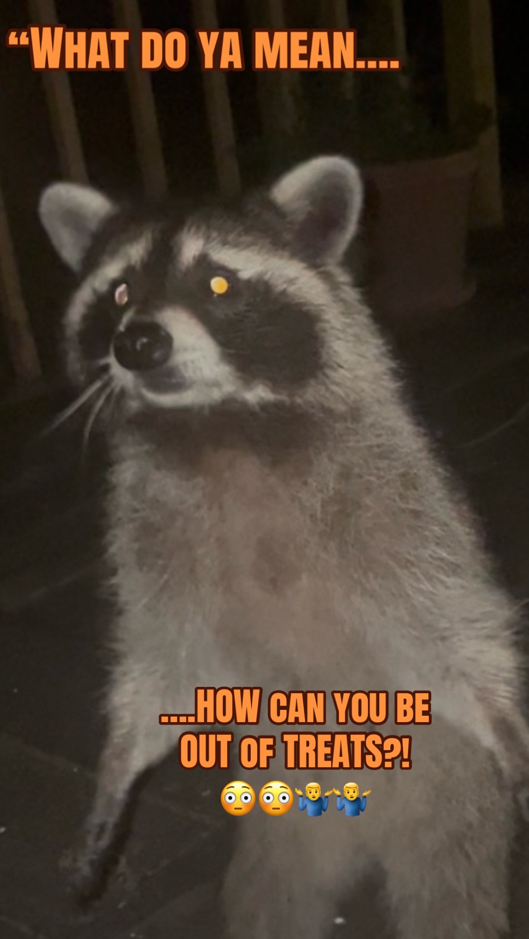 @LoneWolfKritterKam