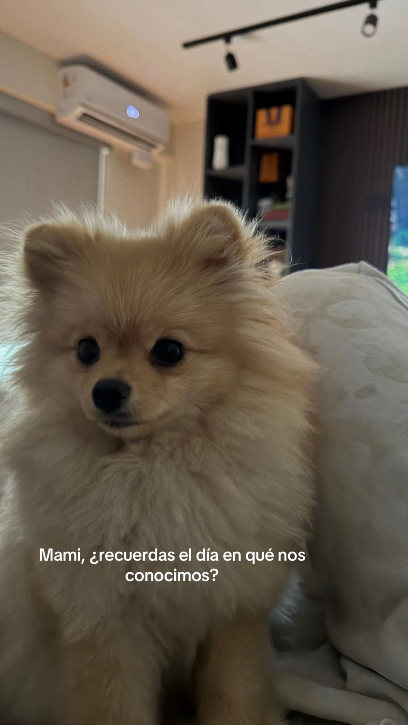 @Diana Pinillos