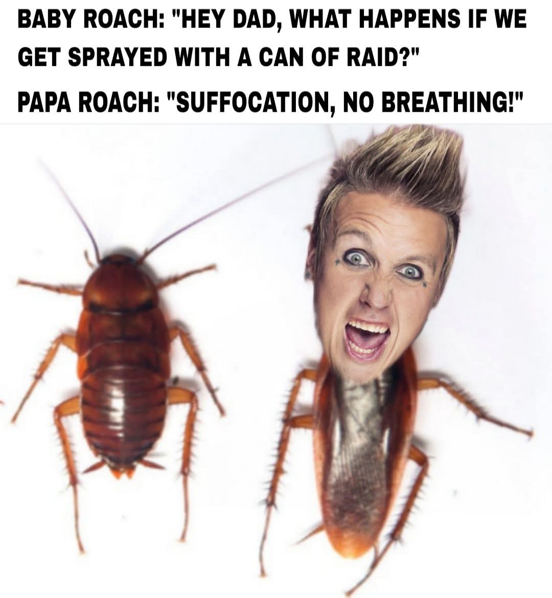 @loganbryson