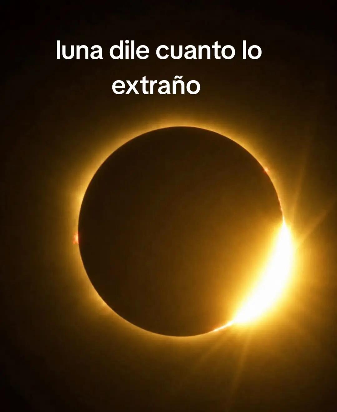 @laindomable116
