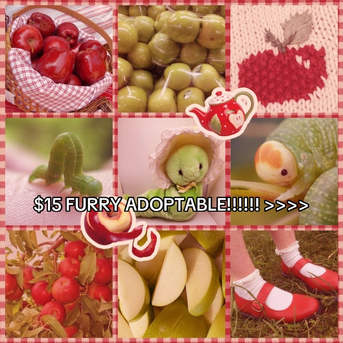 @sᴀɪɴᴛᴅɪᴇsᴇʟ 🔜 ғᴜʀʀʏ ᴍɪɢʀᴀᴛɪᴏɴ