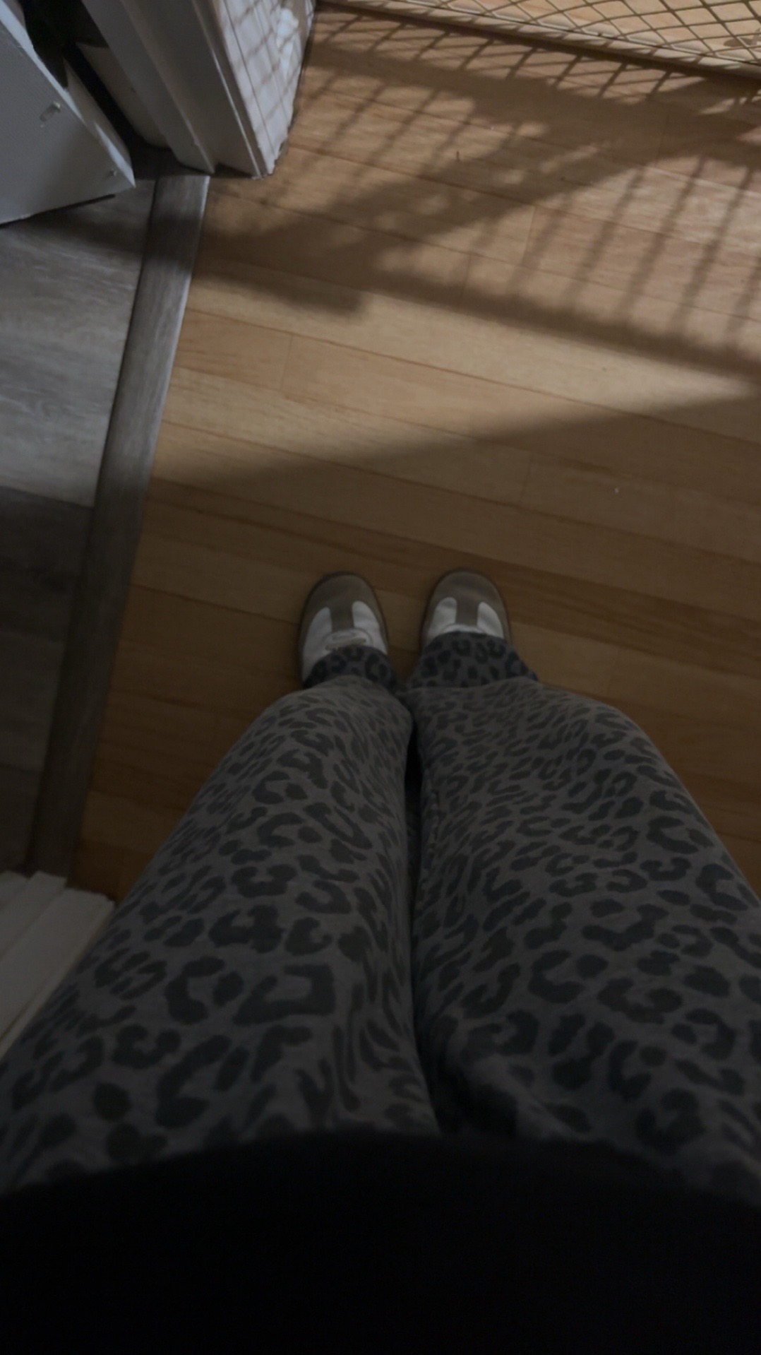 @𝒜🐆