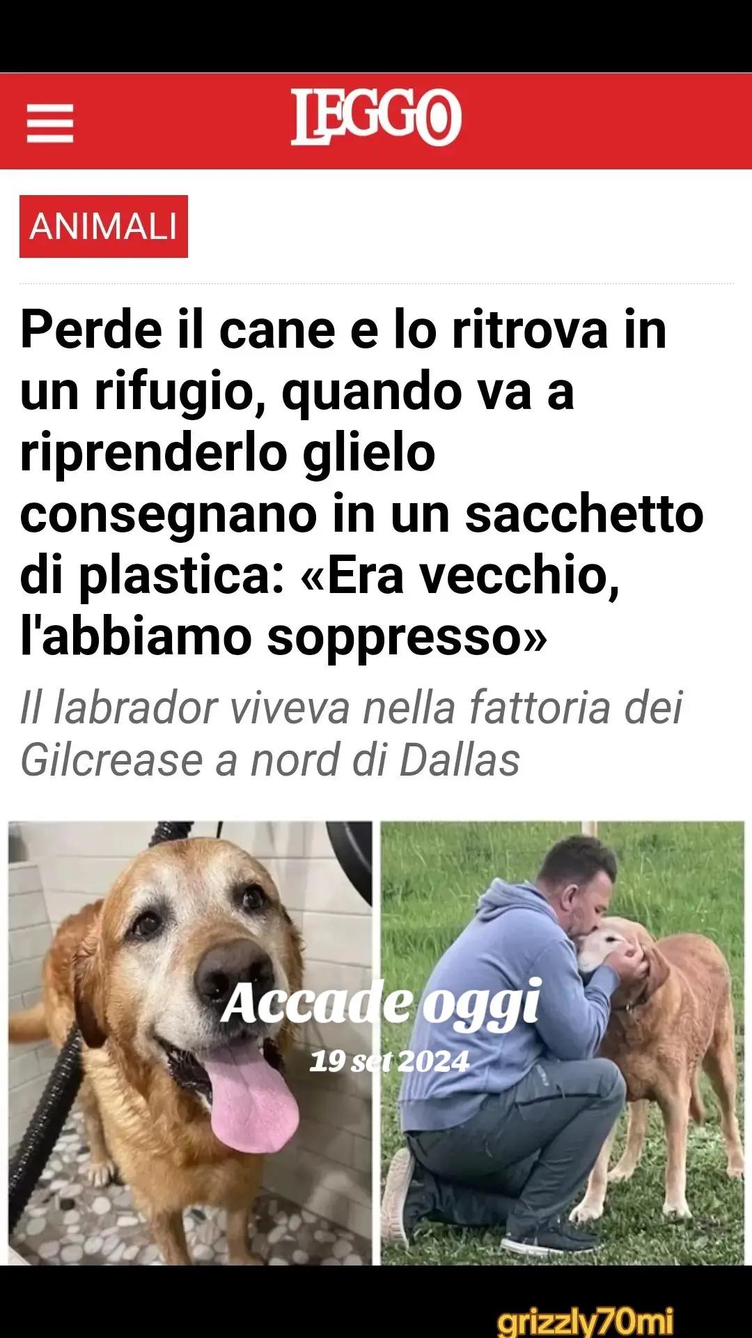 @Franco Cornacchia