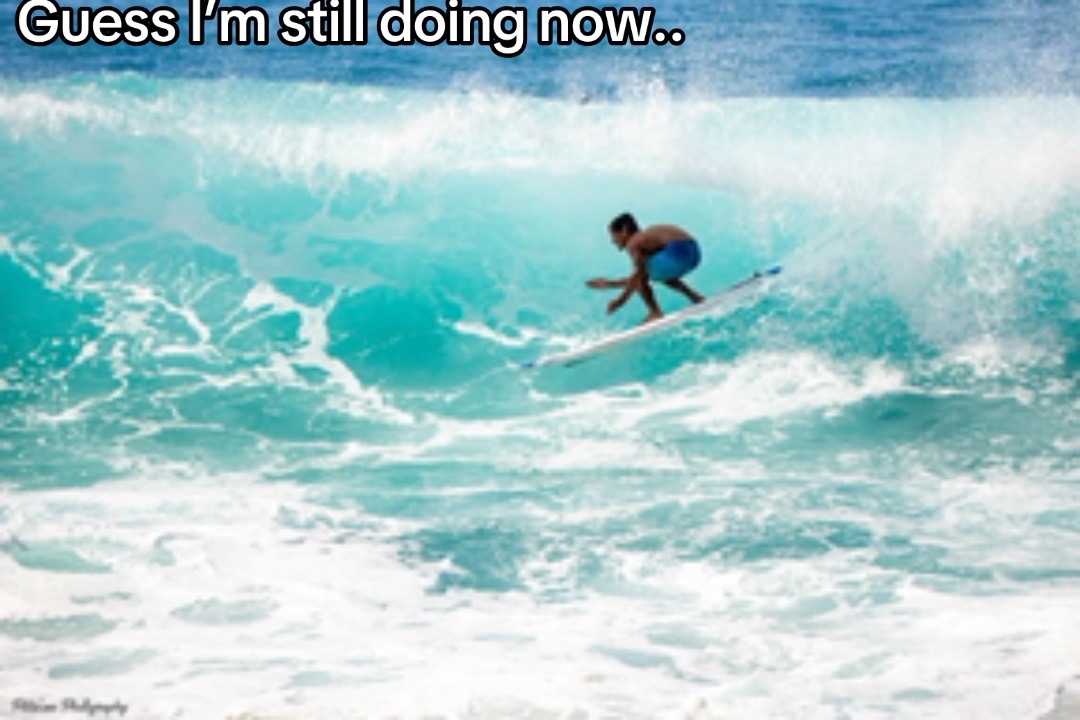 @🦈🦈🦈🌊🌊🌊
