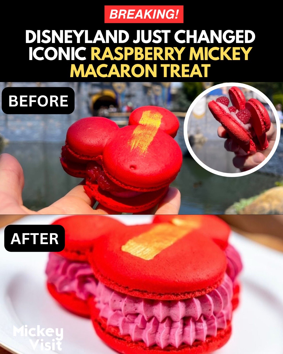 @Mickey Visit: Disney Guide!