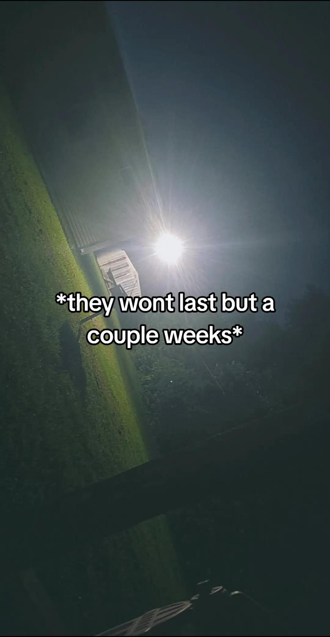 @✨️11•11✨️