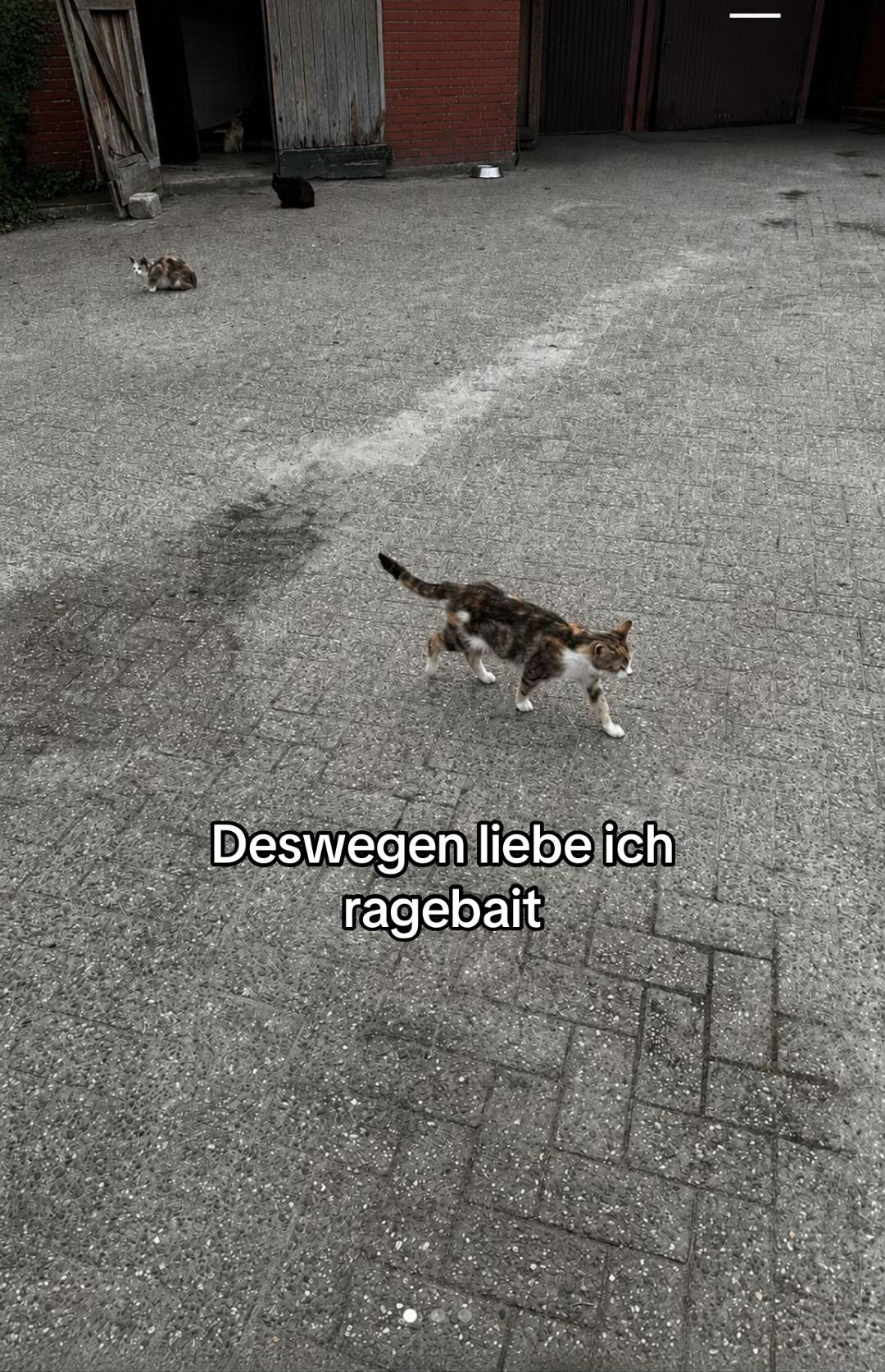 @Der_Macher01