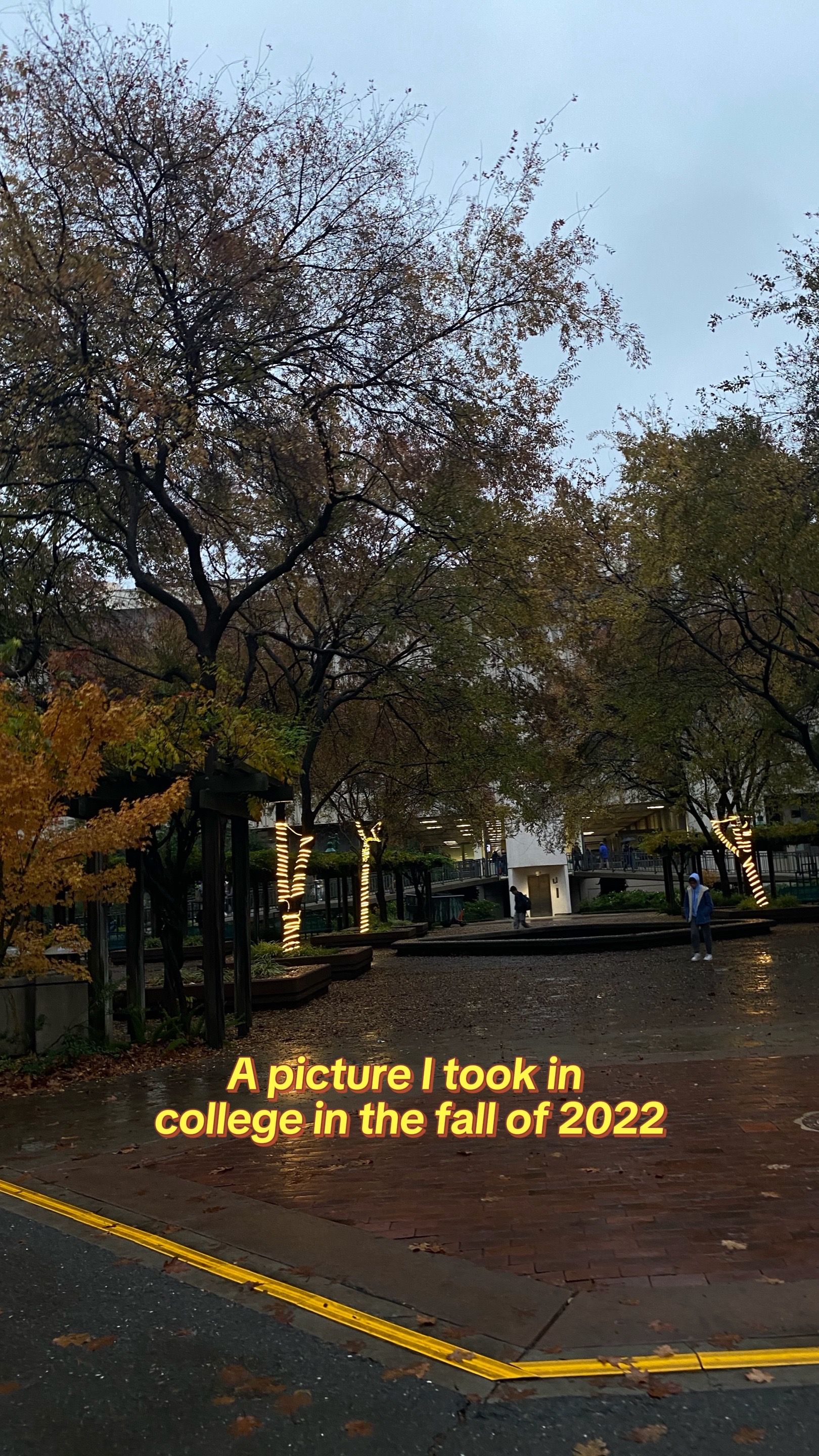 @𝒩𝑜𝑒𝓁𝓈