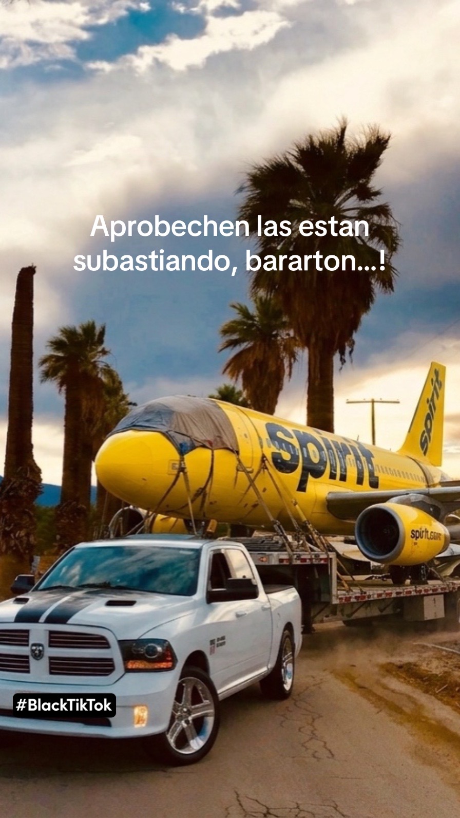 @MiGUELAX🦁