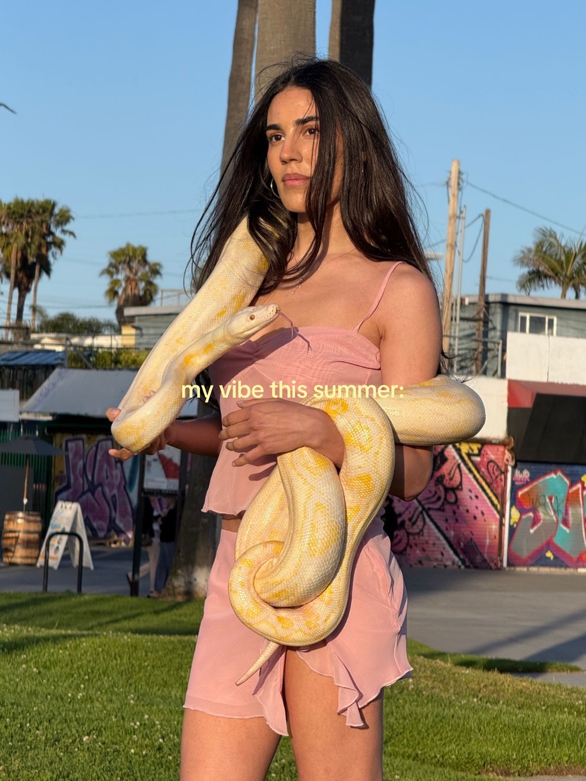 @bella.venice