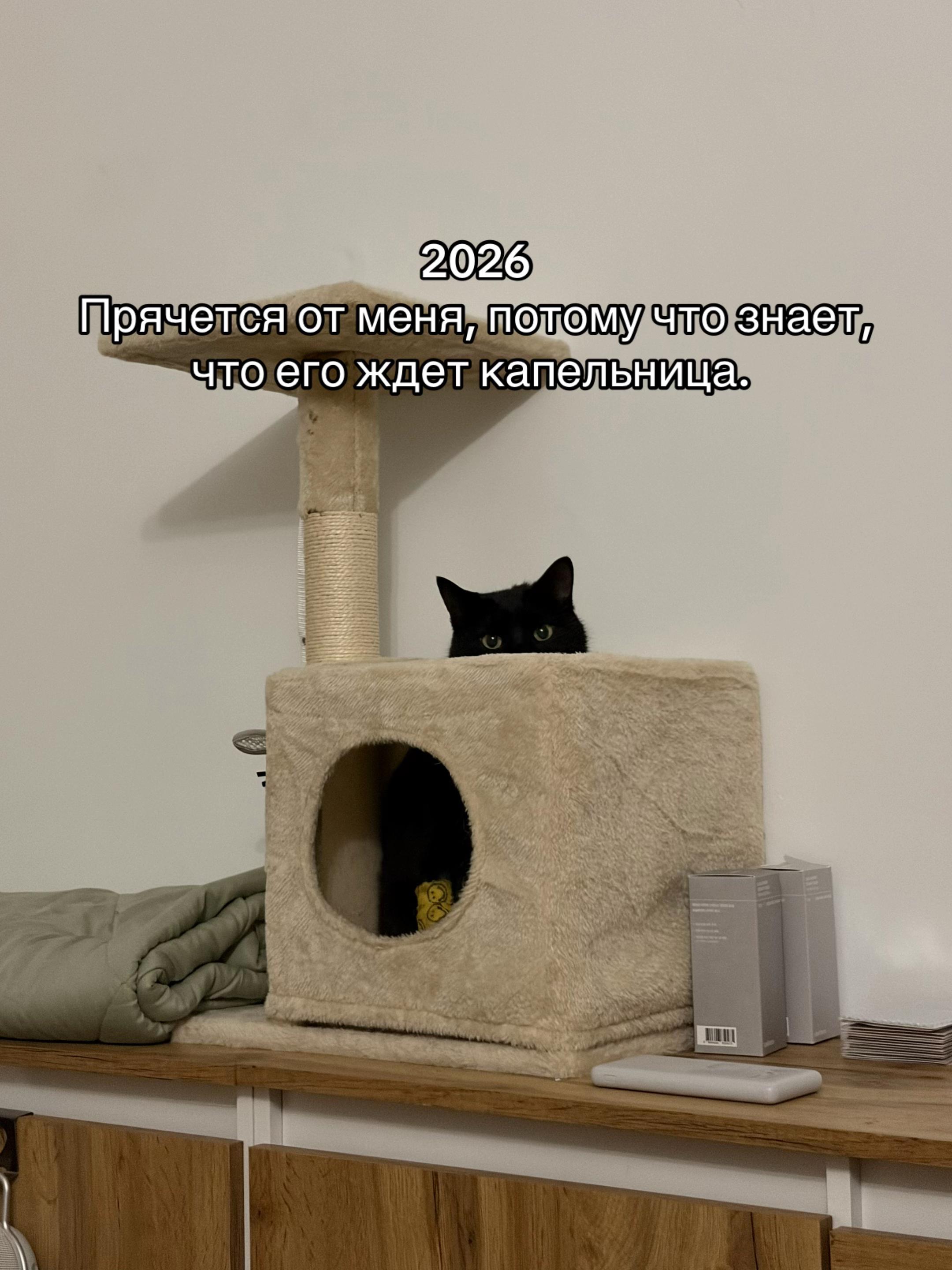 @Паліначка Юр’еўна