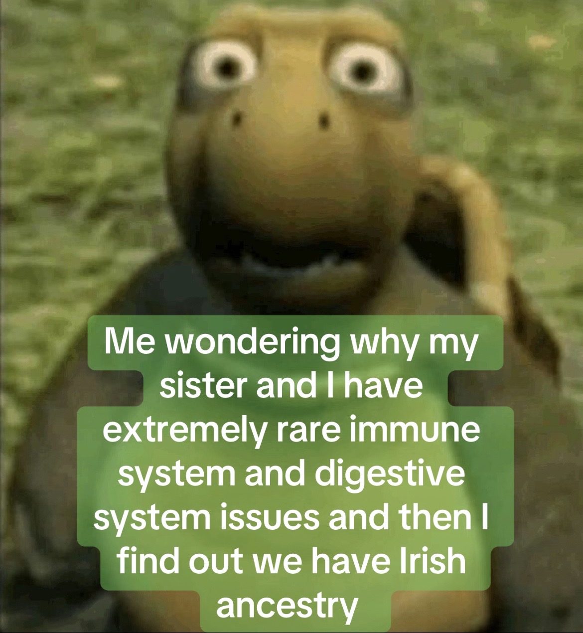 @Persephxne