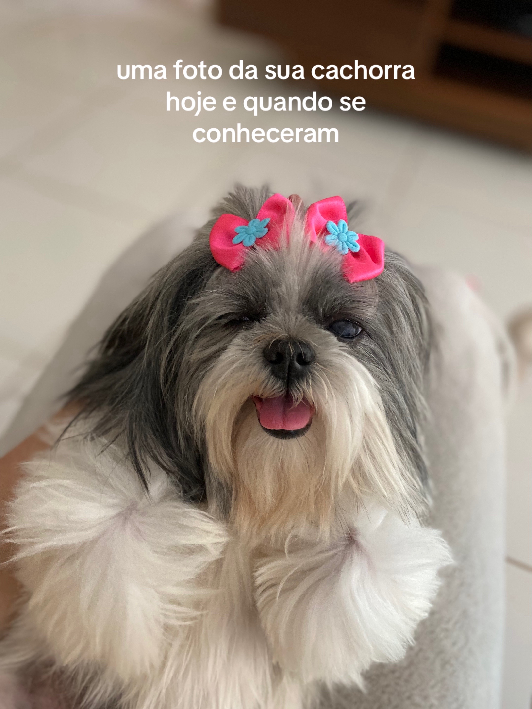 @Duda