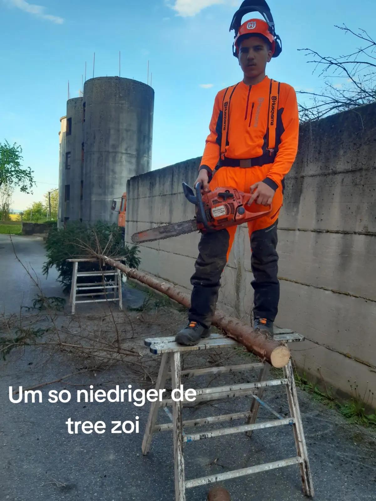 @Forst_Husky_Eli🌲💪🤟🇦🇹
