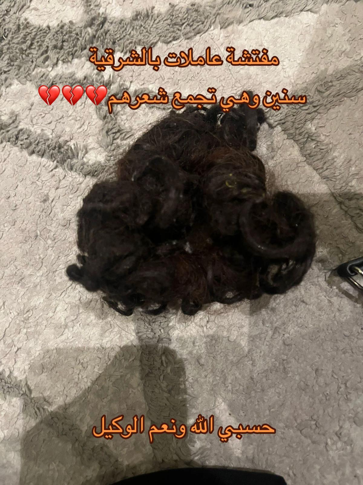 @مفتشة عاملات بالشرقية