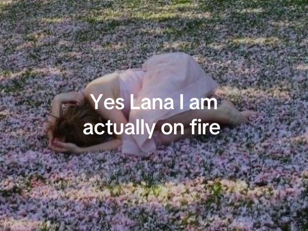 @mary