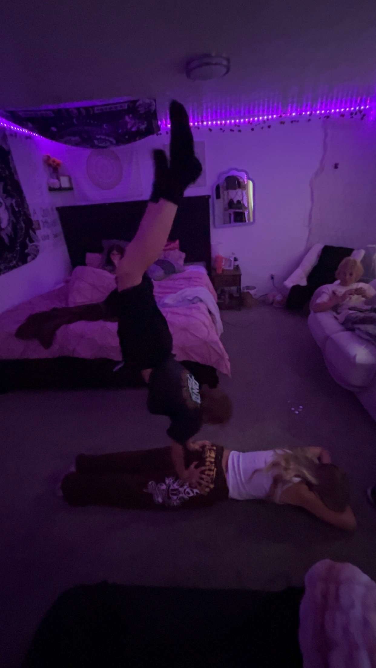 @bella