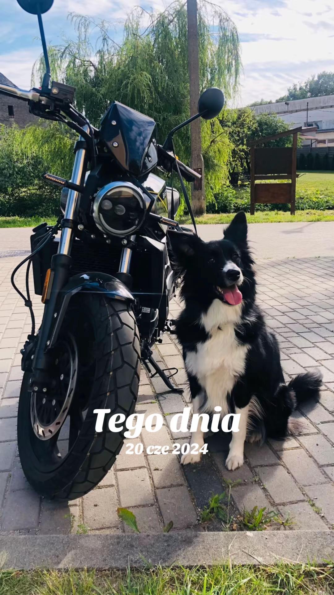 @gosiaczekGosik🖤