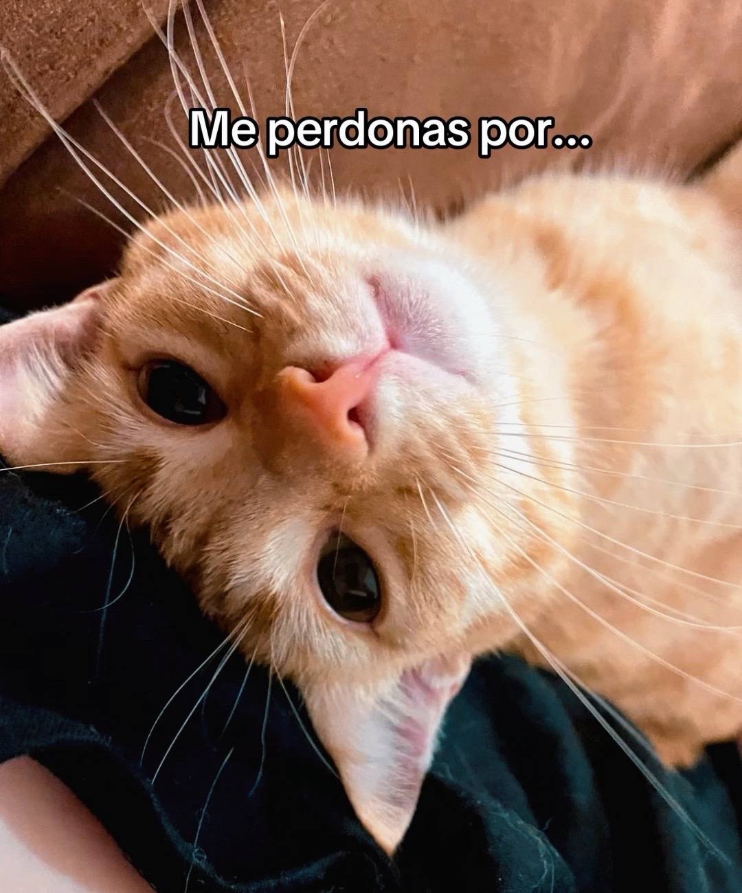 @💜🇭🇳🍫Chocolatito🍫🇭🇳💜