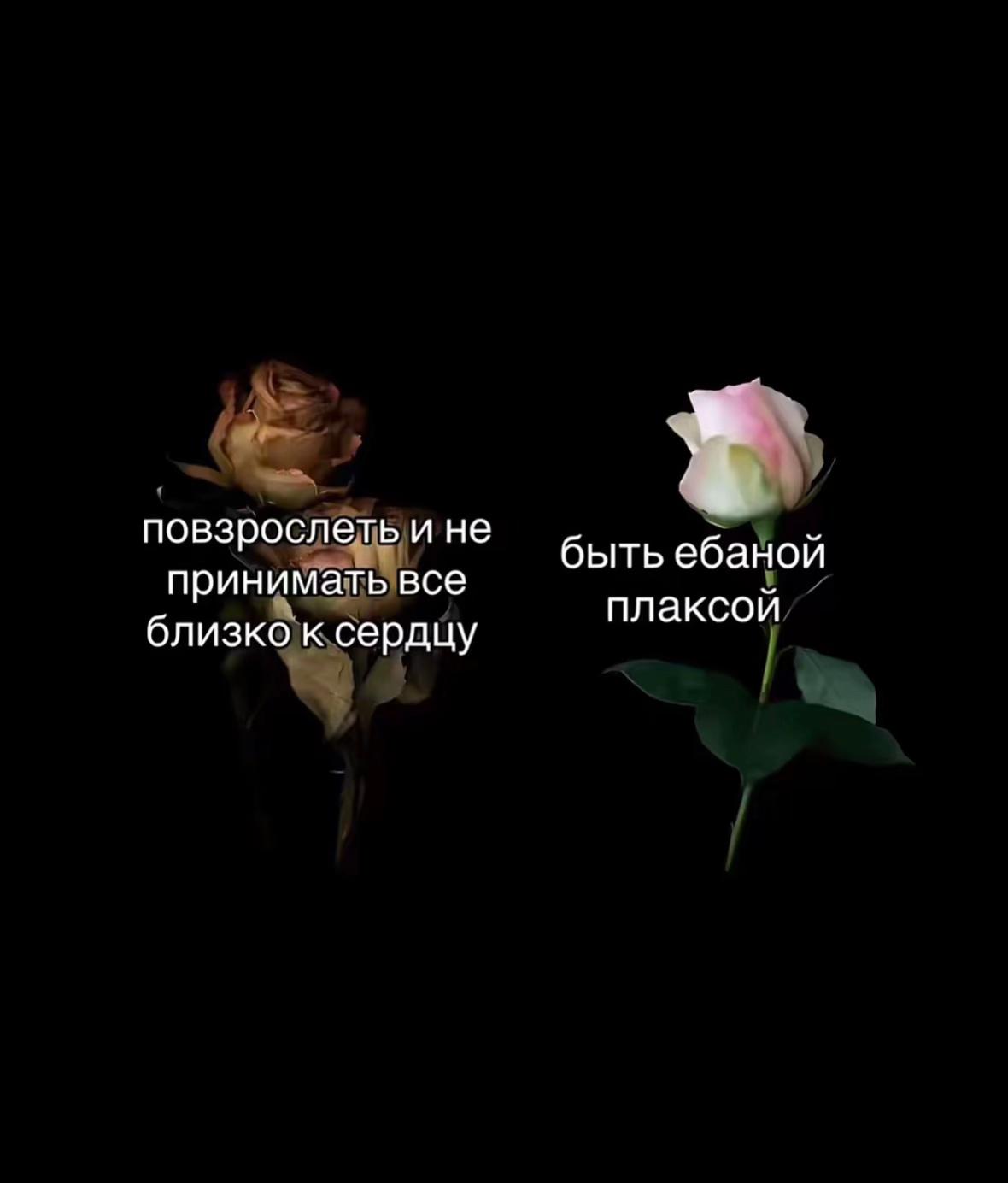 @𝒟𝒶𝓈𝒽𝒽.𝒾𝓀𝓈𝓈𝓈🪽