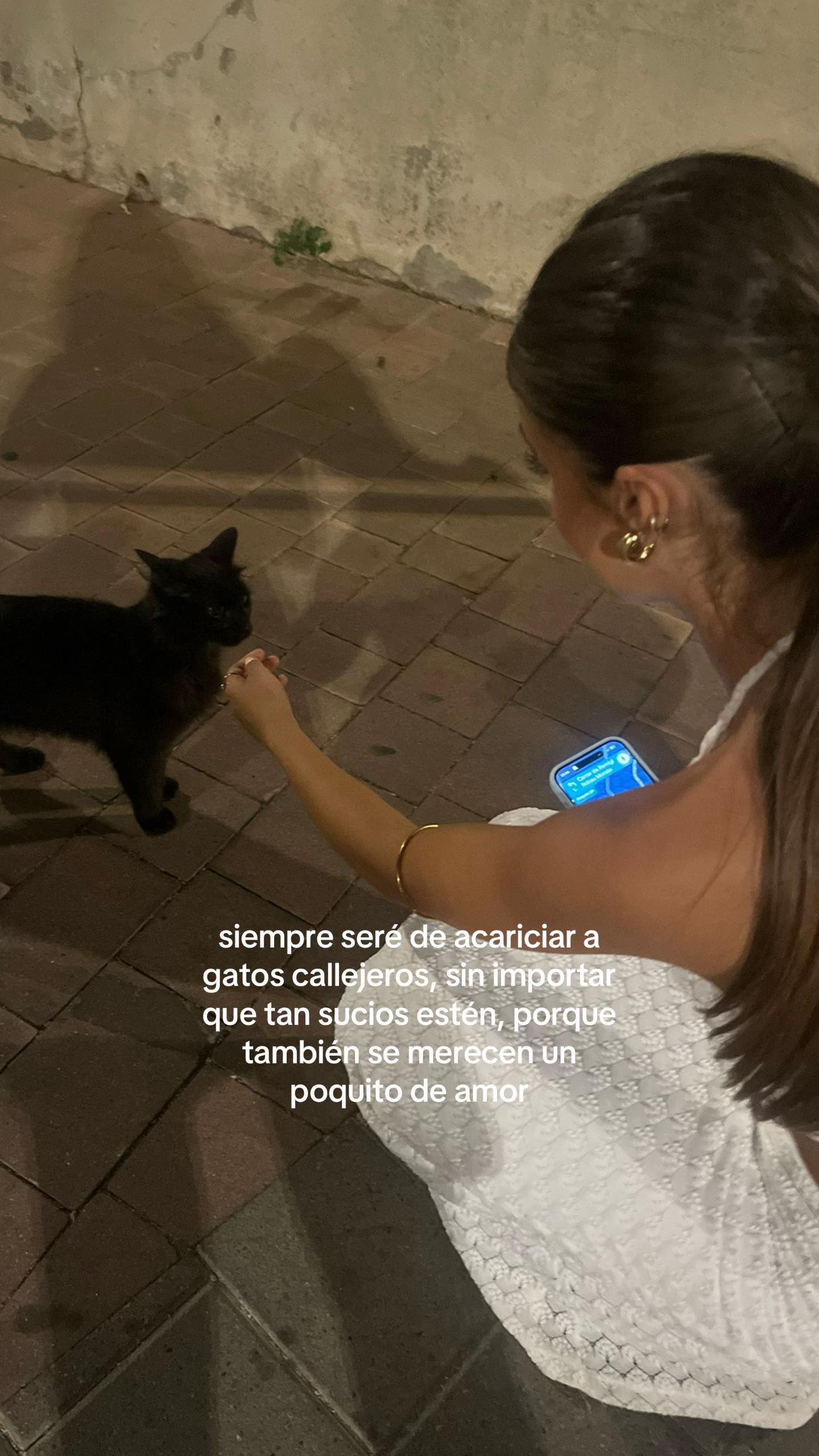 @anss