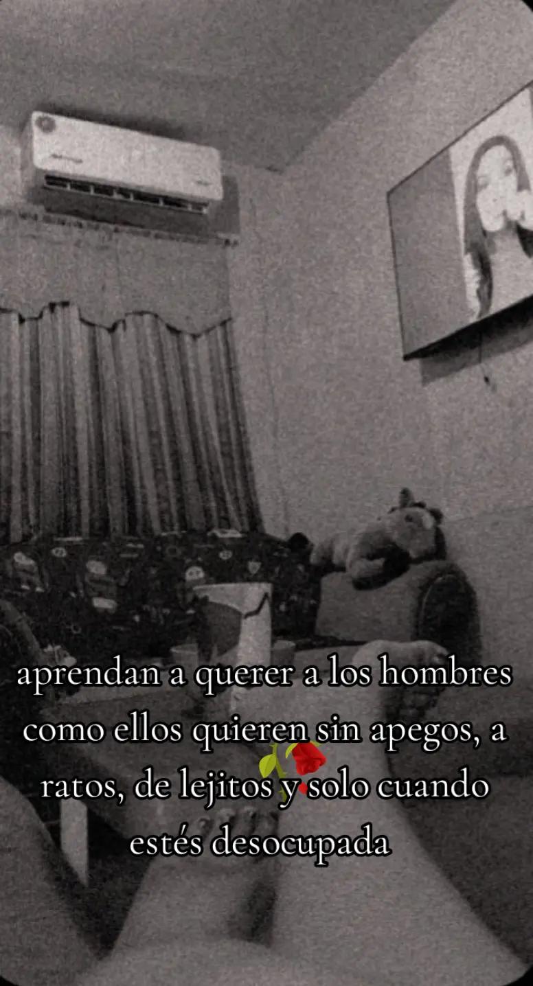 @Samantha Cortés