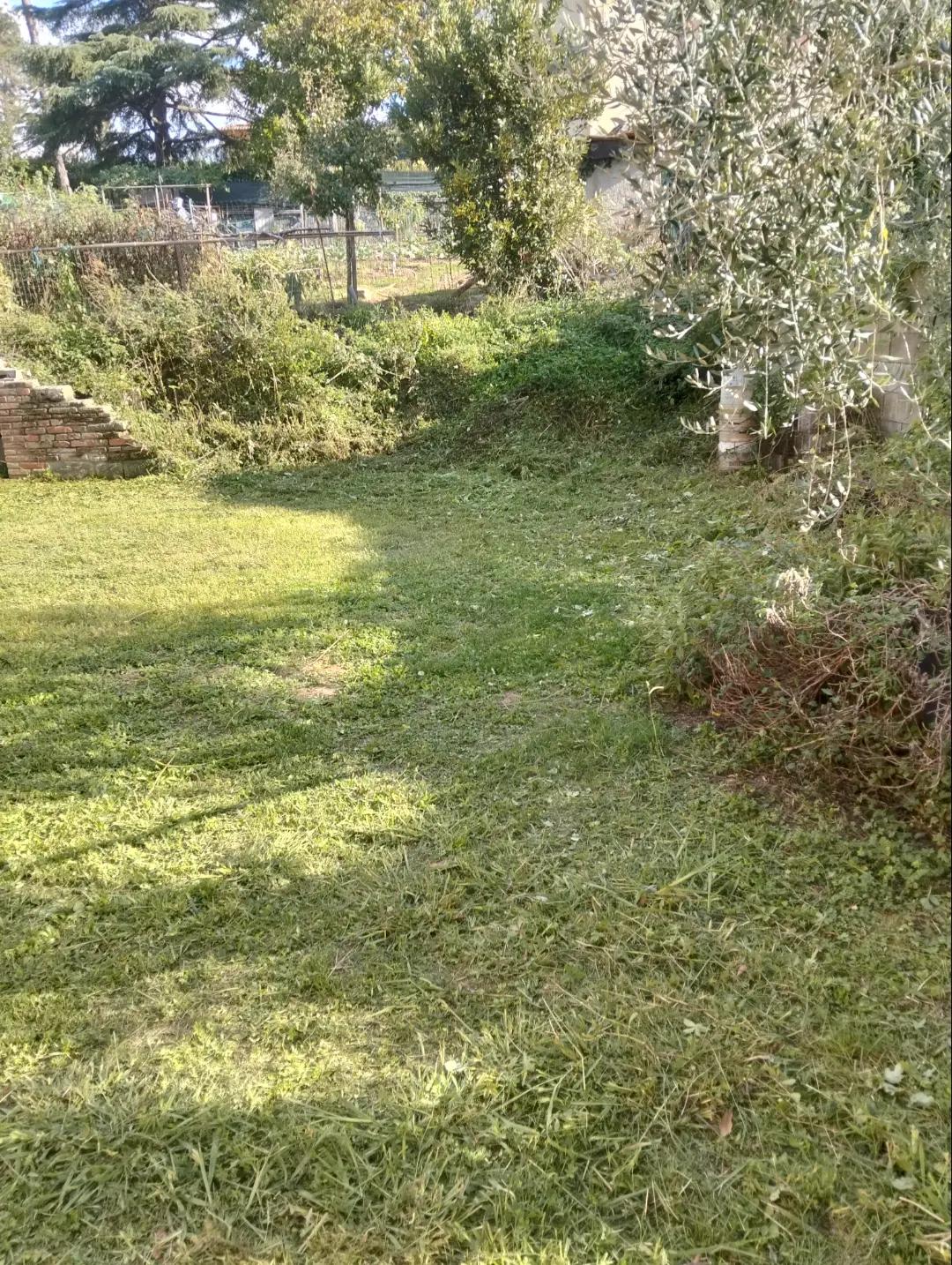 @Simone Ciucchi