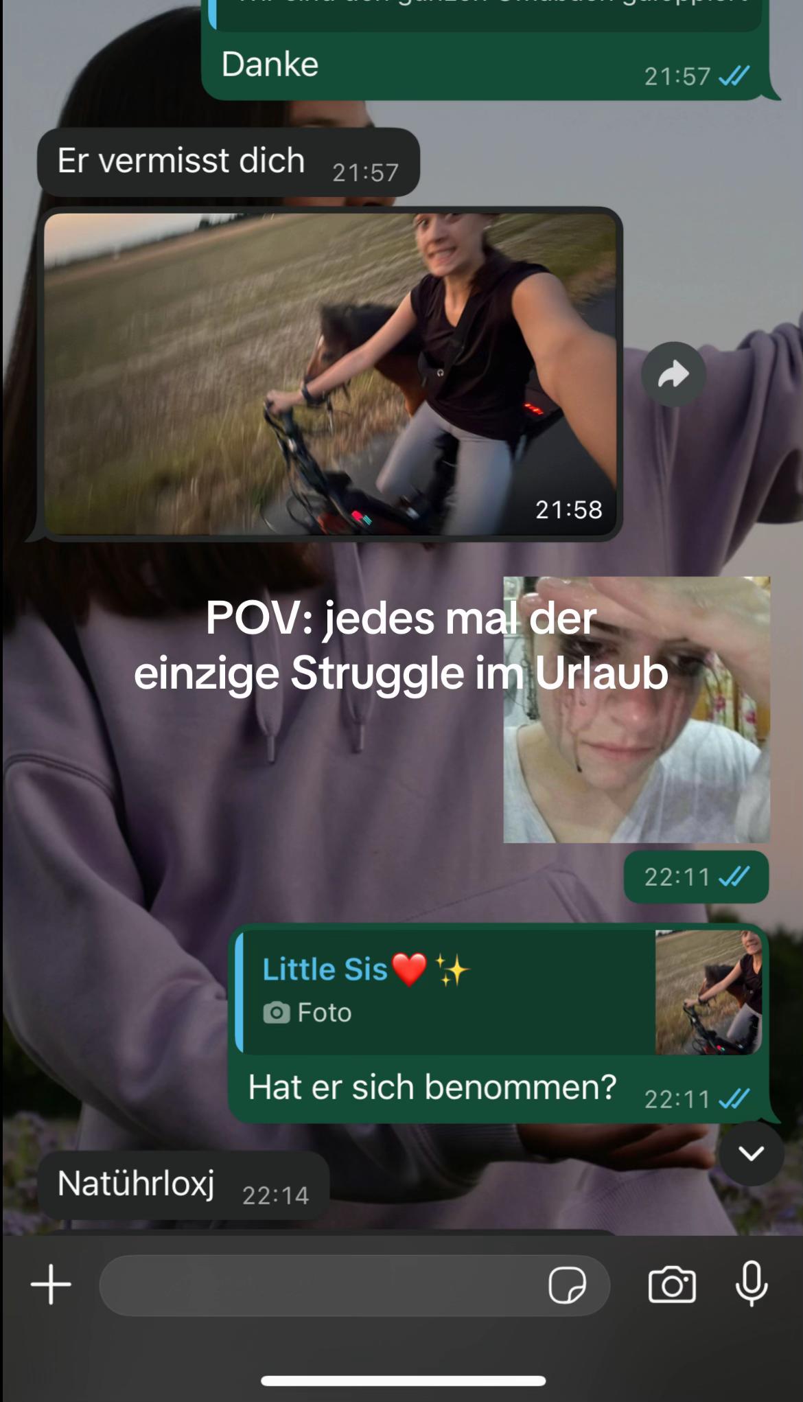 @romeo und das schaf