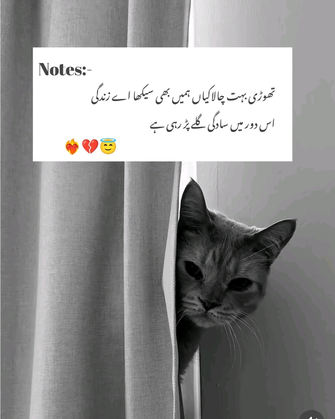 @Rubby